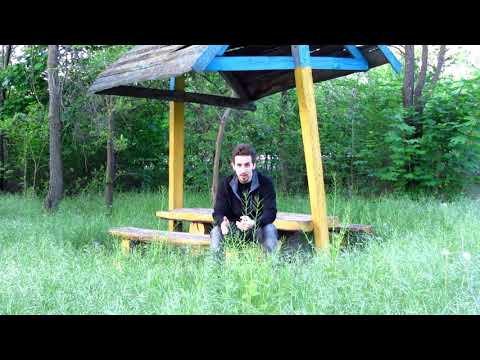 Видео: Изменения за 162 дня воздержания: Девушки | Как мне живется | Дамский угодник исчез |