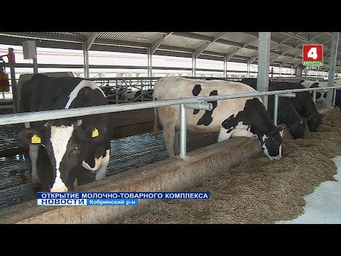 Видео: ОТКРЫТИЕ МОЛОЧНО-ТОВАРНОГО КОМПЛЕКСА