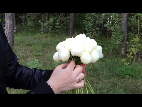 Видео: МК составление свадебного букета из пионов от Royal Holiday