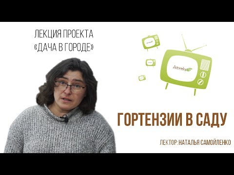 Видео: Гортензия - идеальное растение для северных садов