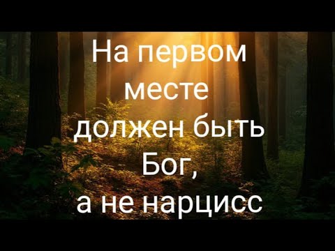 Видео: Нарцисс встал на место Бога, но надо его оттуда убрать, чтоб снова обрести гармонию и покой