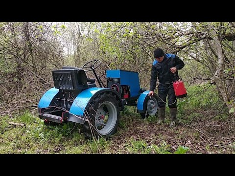 Видео: Один год борьбы с борщевиком Сосновского ,что с ним стало.