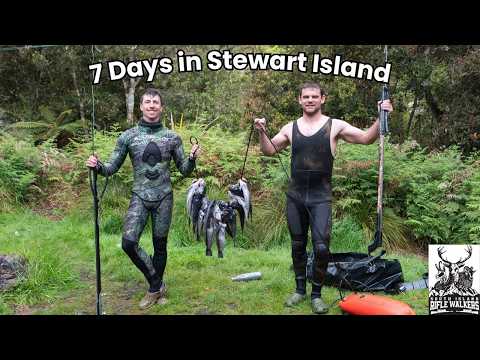Видео: Охота, рыбалка и подводная охота на неделю на острове Стюарт, Новая Зеландия