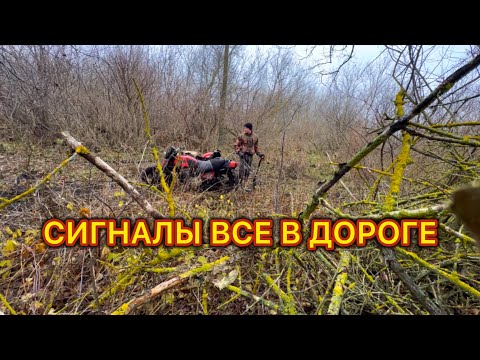 Видео: ВСЯ ДОРОГА ЗВЕНИТ! ВОТ И ДОБРАЛСЯ ДО ВТОРОЙ УЛИЦЕ! КОП МЕТАЛЛА В ЗАБРОШЕННОЙ ДЕРЕВНЕ! МЕТАЛЛОКОП!