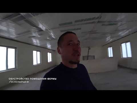 Видео: Обустройство помещения сити-фермы Микрозелени