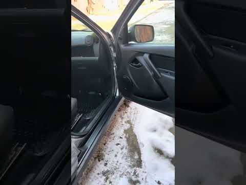 Видео: 5 марта 2025 г.