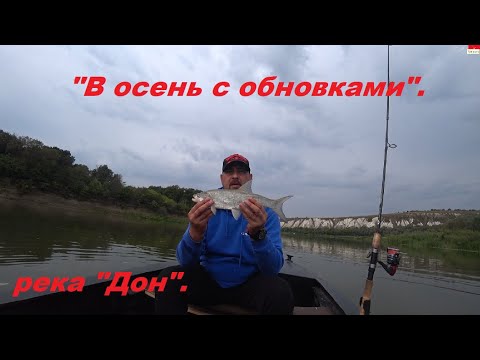 Видео: "В осень с обновками", река "Дон" (Щука, жерех, судак и окунь).