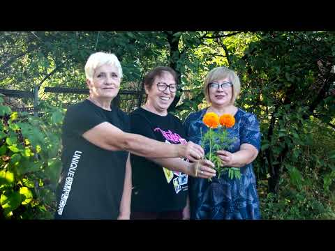 Видео: И снова здравствуйте