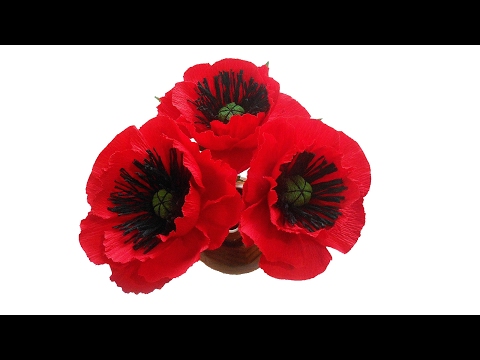 Видео: Маки из гофрированной бумаги, мастер класс
