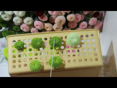 Видео: Обзор молдов для хризантем из холодного фарфора от Лизы Шевченко