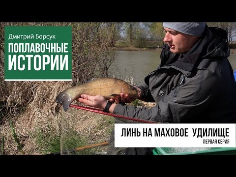 Видео: Линь на Маховое Удилище. Часть 1. Дмитрий Борсук | Поплавочные Истории №12