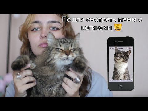 Видео: Давай посмотрим мемы с котиками?