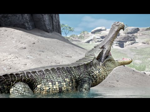 Видео: Простая жизнь одиночного саркозуха