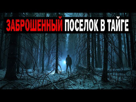 Видео: В Заброшенном Посёлке в Тайге Нашли ЖУРНАЛ УЧЁНОГО — Он Писал о СУЩЕСТВЕ.