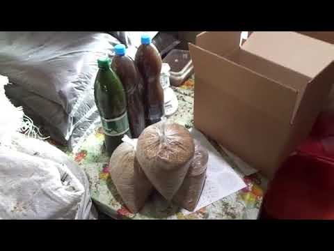 Видео: Отправка посылок добровольцам.