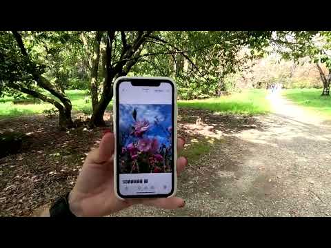 Видео: Сочи 7 дней 29 03 2025 седьмой день сборы до дома