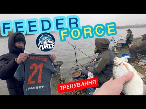 Видео: 🎣 Feeder Force на тренуванні! ГЛИБИНА - має значення ☝️🐟