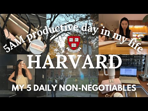Видео: 5 утра, день в Гарварде в моей жизни | 5 ежедневных обязательных дел, мотивация к учебе, суперпро...