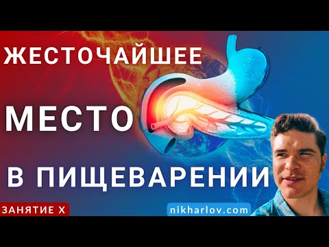 Видео: Двенадцатиперстная кишка и поджелудочная железа: почему желудочный сок НЕ разрушает нежный кишечник