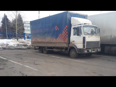 Видео: Главный минус ямз 236 на зубре. Кпп, тульский кругорейс. #ямз236  #зубренок
