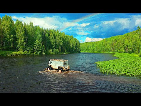 Видео: Нашёл клад в лесу или просто удача? НАХОДКИ ИДУТ СОТНЯМИ!