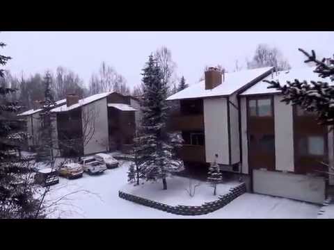 Видео: #482 США Аляска Анкоридж Здравствуй зимушка зима Утепляюсь Закупаю дрова