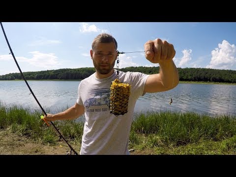 Видео: РЫБАЛКА НА ИНЛАЙН В НАЧАЛЕ ИЮНЯ