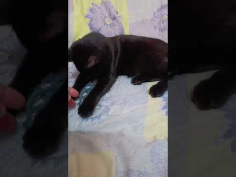 Видео: НОВЫЙ ДЕНЬ, 06.10.25... ЖИВЁМ ДАЛЬШЕ🙏♥