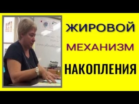 Видео: ЖИРОВОЙ МЕХАНИЗМ НАКОПЛЕНИЯ.  Миронова Валентина