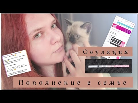 Видео: Почему меня не было?| Цикл мая | Новый цикл, овуляция на 14 ДЦ| Пополнение в нашей семье| Поболтаем?