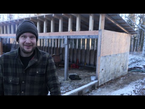 Видео: Закрытие старого амбара | Подготовка к вьючным лошадям в отдалённой Аляске
