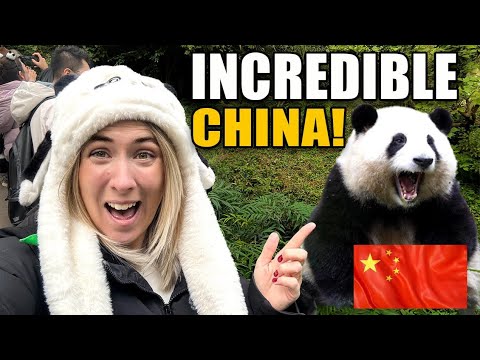 Видео: Мы встретили САМУЮ ИЗВЕСТНУЮ панду Китая в Чэнду 🇨🇳 中国最爆红的熊猫