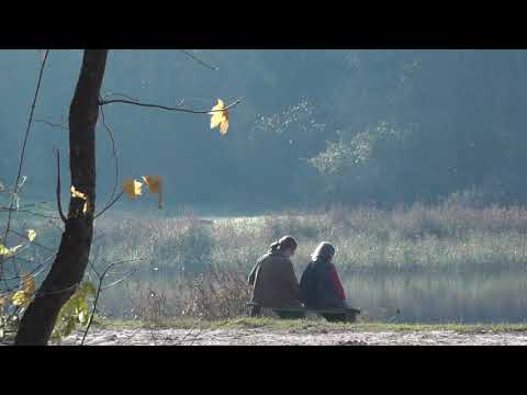 Видео: Гатчина & балалайка Алексея Архиповского