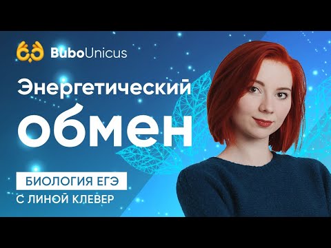Видео: Энергетический обмен | БИОЛОГИЯ ЕГЭ | Лина Клевер