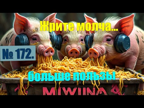 Видео: № 172. Название ради названия. Жрите молча, больше пользы. #антимошенники #аферисты