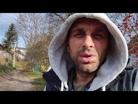 Видео: Сколько стоит микроавтобус.? Природа,рыбхоз.Цена на карпа