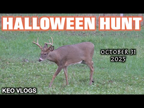 Видео: Хэллоуин: охота на оленей повсюду!