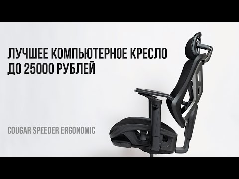 Видео: Лучшее компьютерное кресло до 25000 рублей. Cougar Speeder Ergonomic.