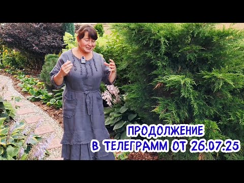 Видео: Красота ВЕЧЕРНЕГО САДА. Неожиданно полезный обзор.