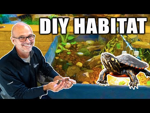 Видео: Как создать *пруд для обитания черепах*