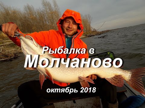 Видео: Рыбалка в Молчаново. Октябрь 2018