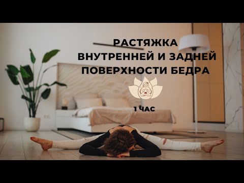 Видео: Растяжка внутренней и задней поверхности бедра. Упавишта Конасана.