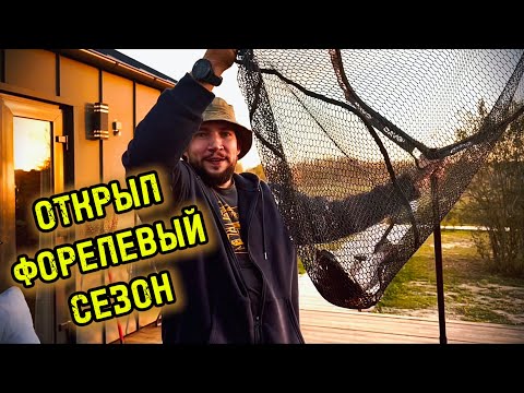 Видео: ПЕРВАЯ ФОРЕЛЬ СЕЗОНА! ОСЕНЬ 2024