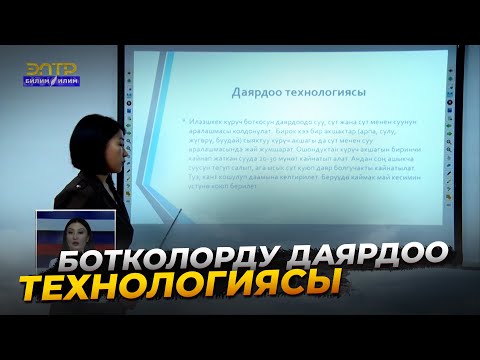 Видео: 3-САБАК. АШПОЗЧУ. БОТКОЛОРДУ ДАЯРДОО ТЕХНОЛОГИЯСЫ //Кесипке багыт
