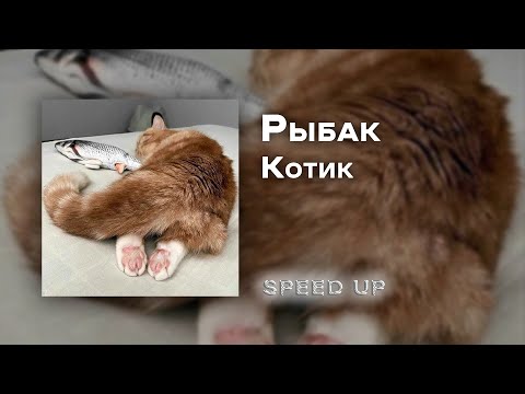 Видео: Александр Рыбак - котик [speed up]