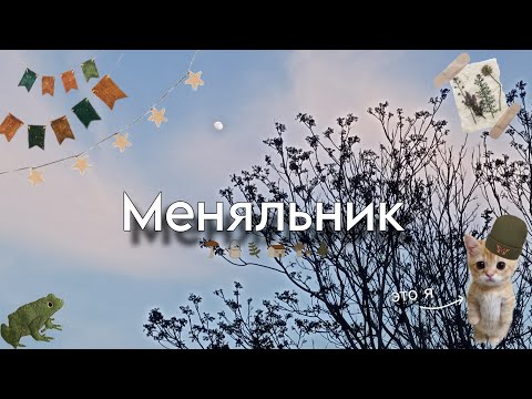 Видео: Мой первый меняльник (⁠ﾉ⁠◕⁠ヮ⁠◕⁠)⁠ﾉ⁠*⁠.⁠✧ | Меняльник-на-Дону