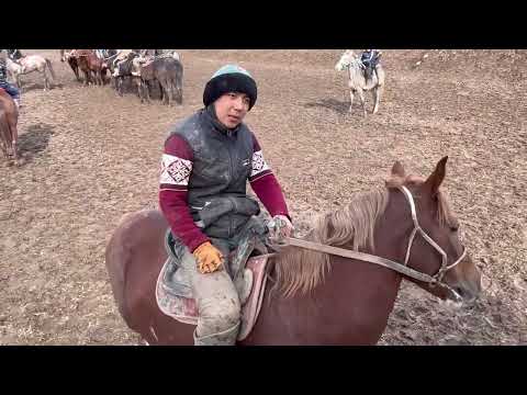 Видео: Қазығурт аудан алтынтөбе сарсенбі 1967жылғы ағалар берген көкпар🐴.Көкпар әлемі .