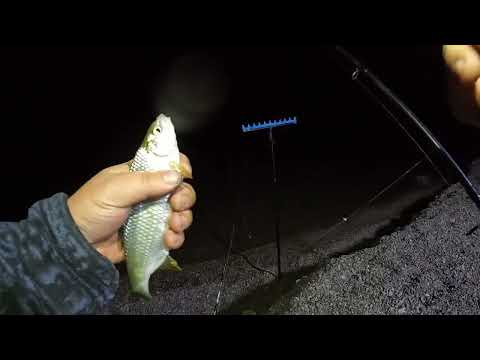 Видео: Капчагай рыбалка между 3й и 2й насосных