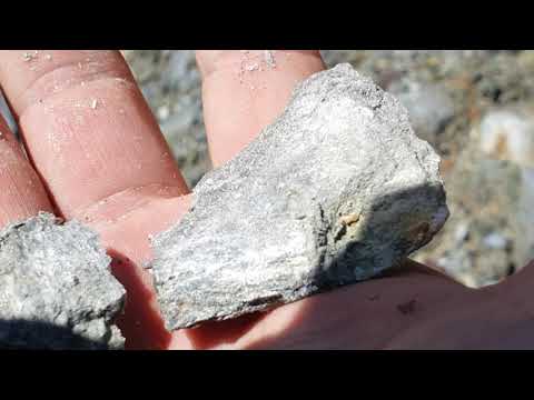 Видео: Волчиха, река Карагужиха,Беловодье