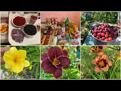 Видео: На даче/собираем урожай/закупка